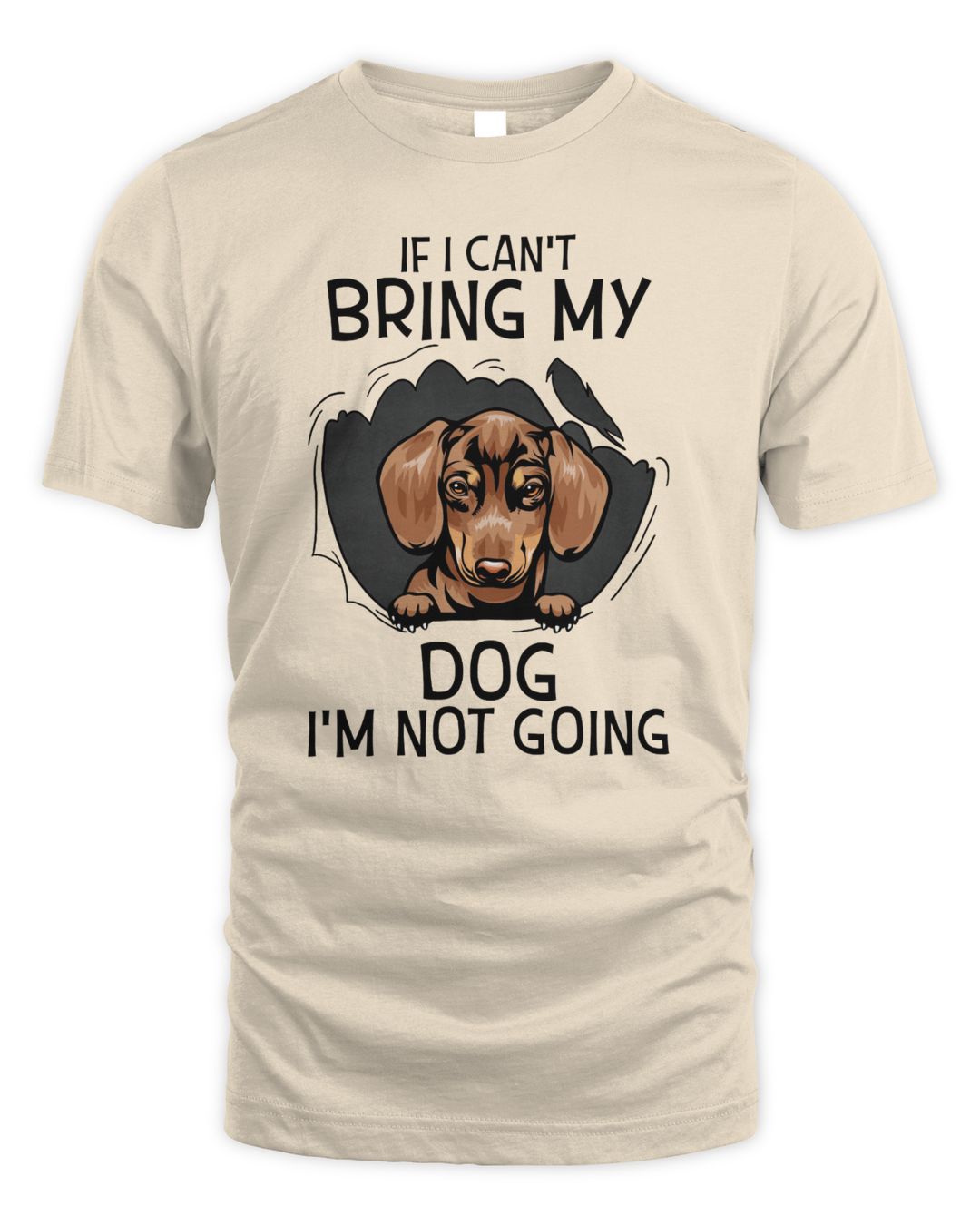 Bring My Dachshund