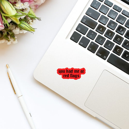 You Had Me At Red Flags Sticker | Bookish Sticker | Kindle Stickers | Sticker Decal | Dark Romance | Die Cut Sticker