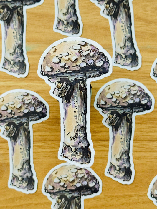 Mushroom Decal | Waterproof Weatherproof | Forest Fungi Mushroom Sticker