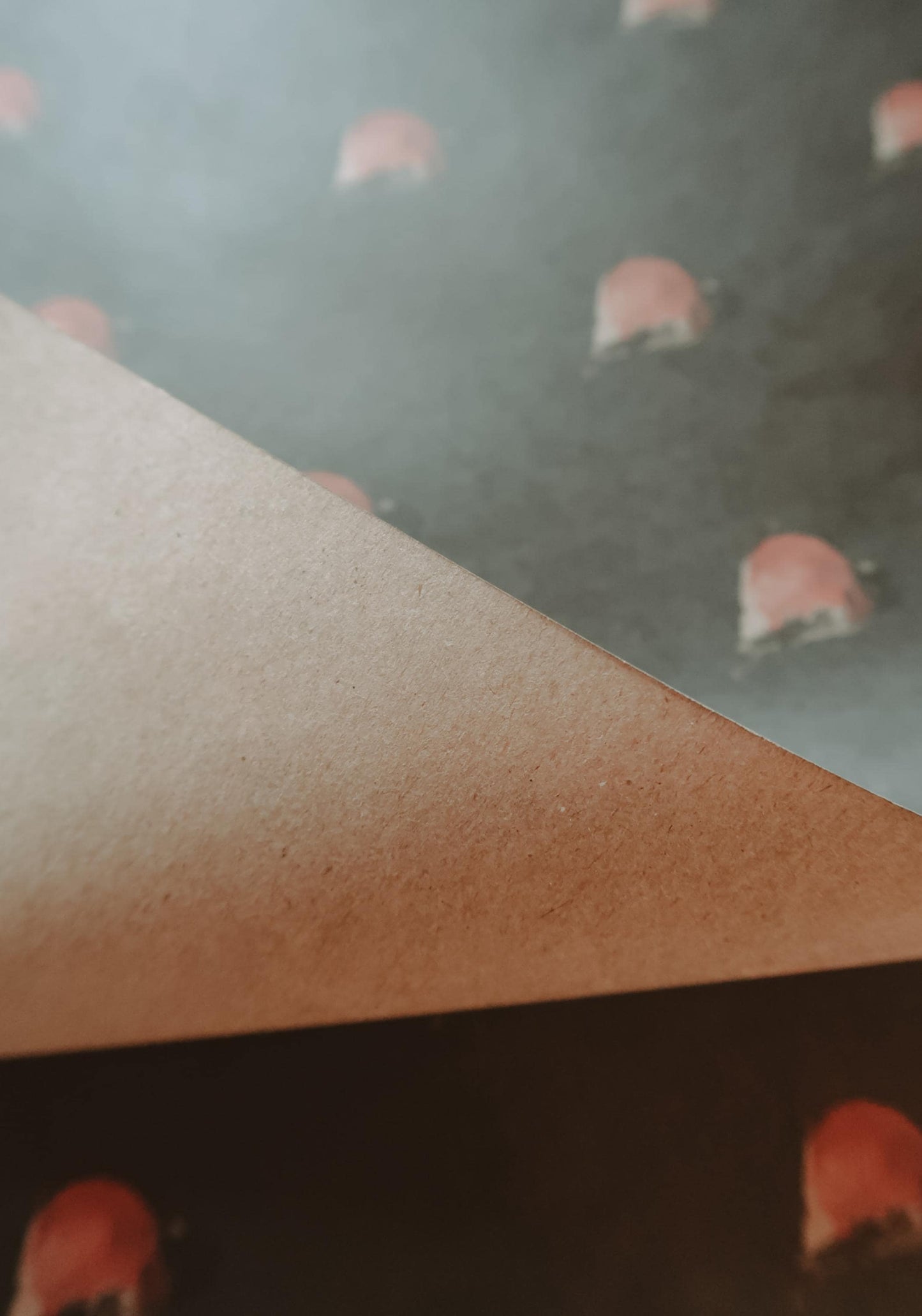 Red robin Wrapping paper, Christmas Gift Wrap, Christmas Wrap, Christmas Gift Warp, Xmas Wrapping paper, gift paper, present