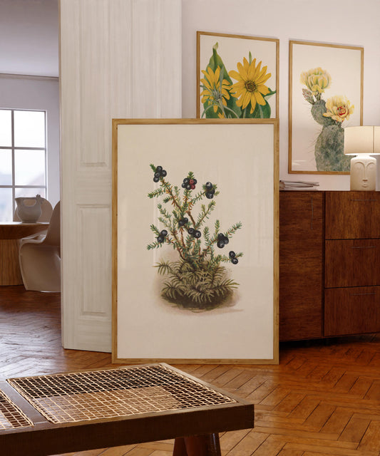 Vintage Berry Painting Print Antique Wildflower Illustration Botanical Painting Earth Tones Flowery Bedroom Decor Simplistic Poster