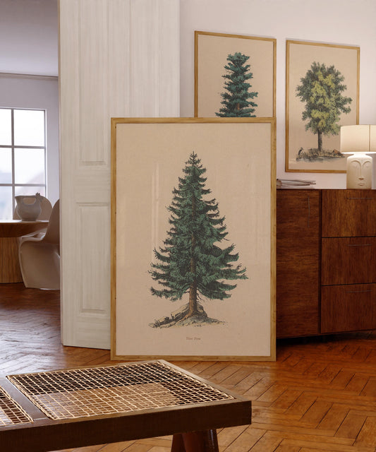 Vintage Pine Tree Drawing Print Fine Art Spruce Poster Cabin Cottage Wall Art Botanical Forest Illustration Nature Wall Decor