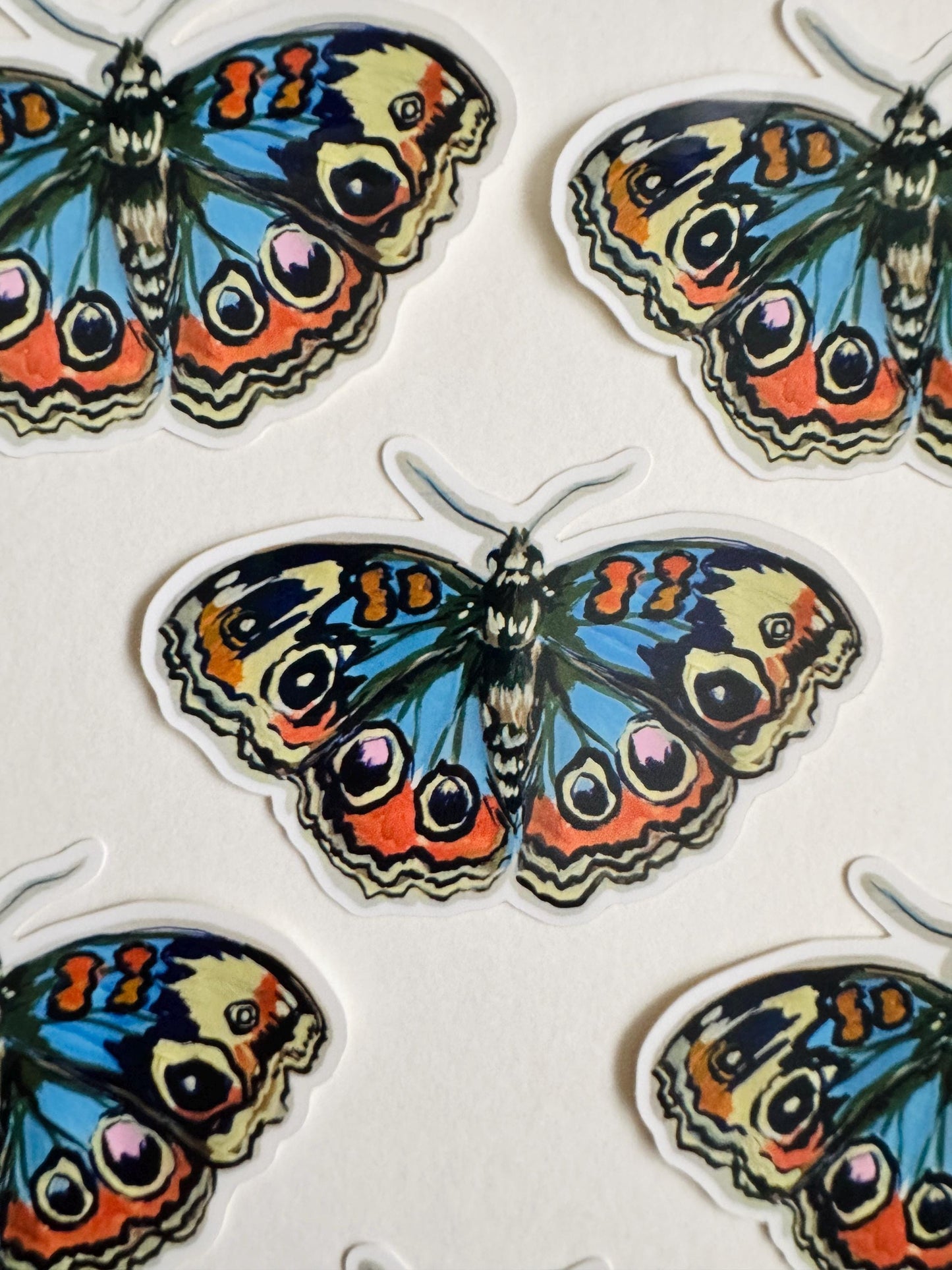 Blue Buckeye Butterfly Sticker | Illustrated Artwork | Butterfly Decal