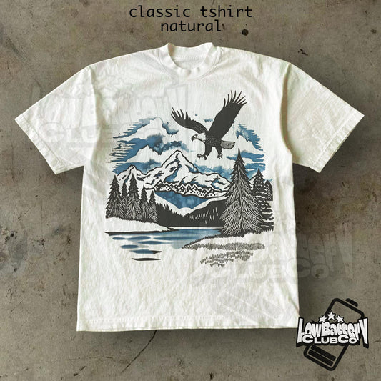 Vintage Eagle Graphic Tee, Retro Wildlife Nature Shirt, Comfort Colors Patriotic T-Shirt, Freedom Aesthetic Streetwear Top