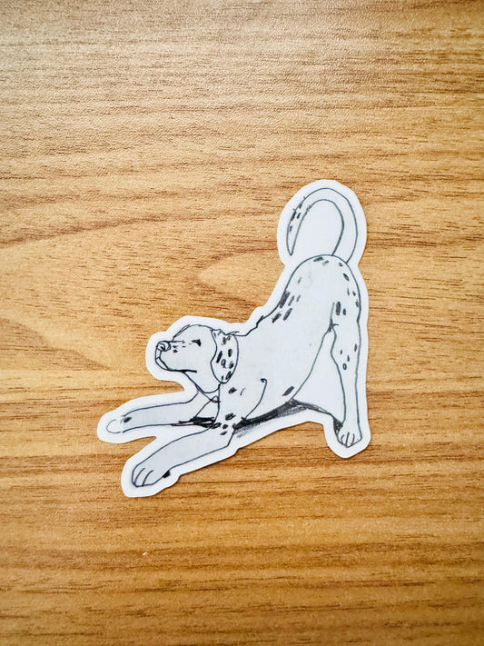 Dog Yoga Dalmatian | Vinyl Sticker Decal | Waterproof Weatherproof | Cute Dog Portraits drawing
