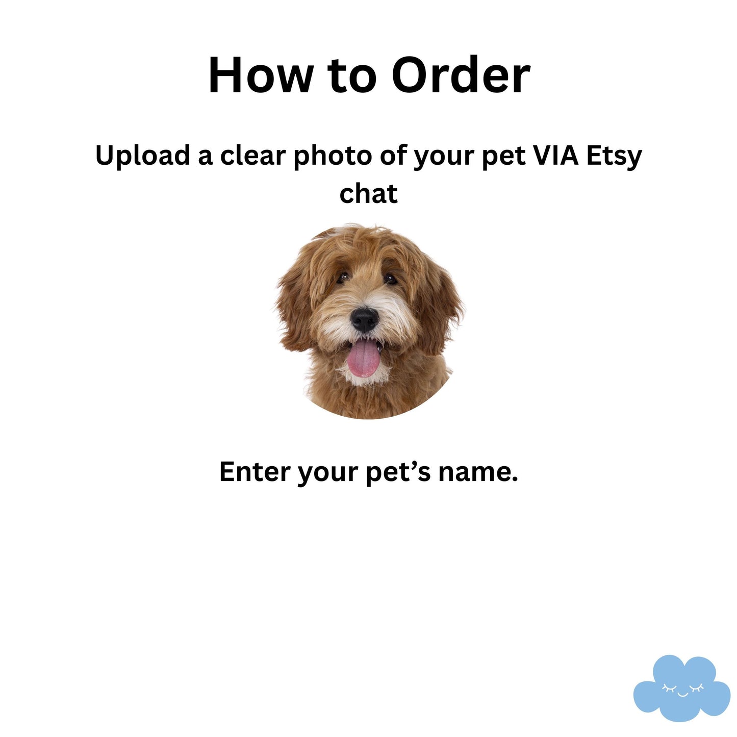 Personalized Pet Slippers for Men, Custom Dog or Cat Illustration with Name