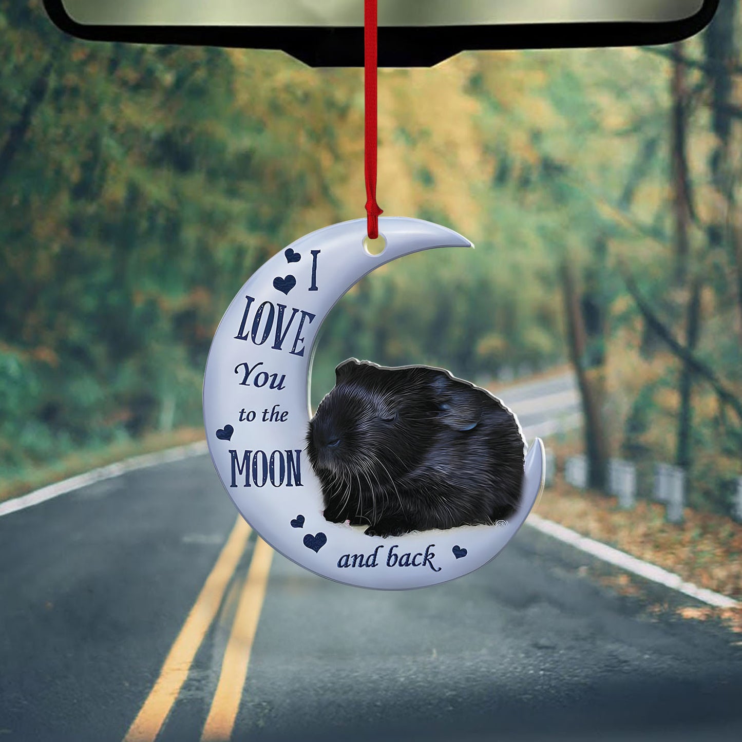 Ornament-Black Guinea Pig-2, Ornament Decoration, Ornament Christmas - TeeZworldVN