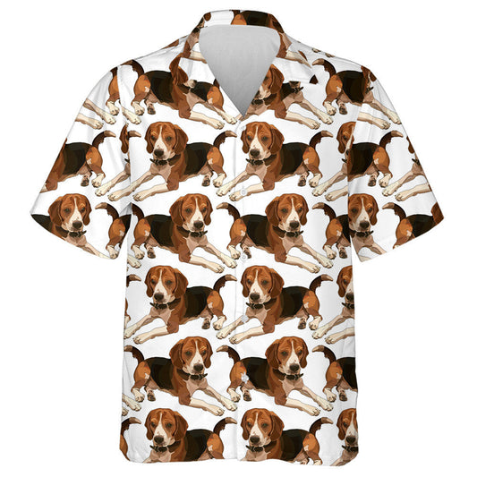 Tarraingt de Láimh Beagle i mBeartú Léine Réalaíoch Haváís, Haváis mar Bhronntanas