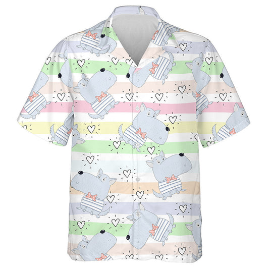 Cúlra Aonraithe Madraí Cartúin agus Croí Léine Haváís, Haváise le haghaidh Bronntanais