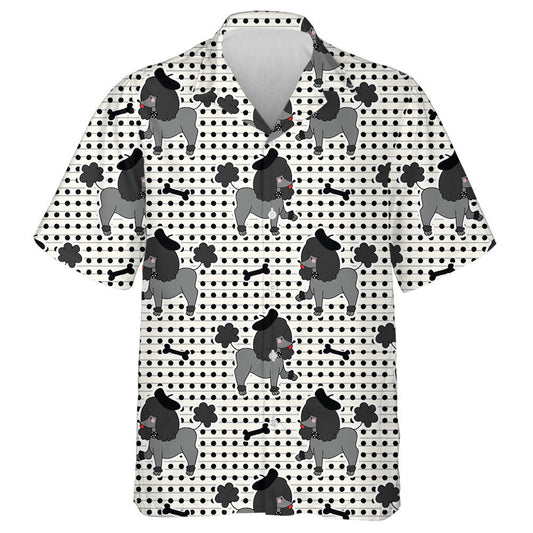 Madra Puppy Poodle Dubh Le Léine Haváis Chnámh, haváís le haghaidh bronntanais