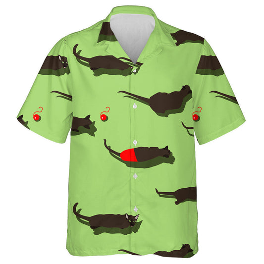 Cat Dubh Oriental Ar Chúlra Glas Léine Haváí, Haváise Don Bronntanas