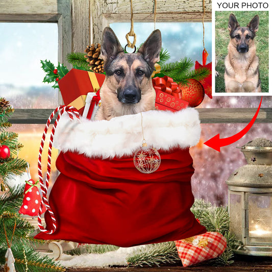 Personalized Gift For Pet Lovers Pet In Xmas Bag Ornament - Best gifts your whole family