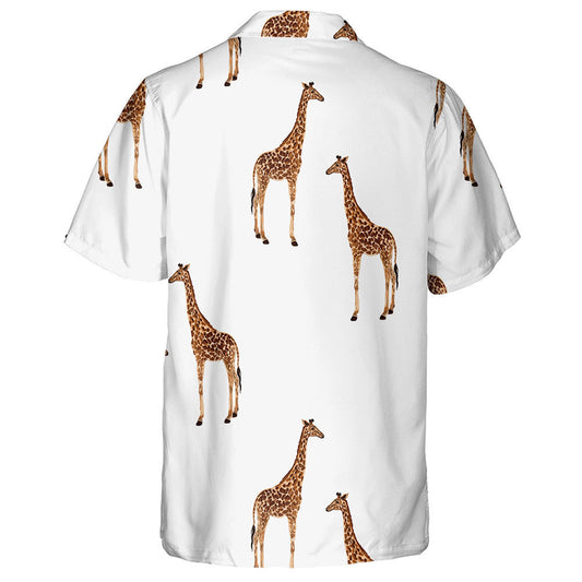 Patrún Álainn Le Sioráf Leithlisithe Ar Chúlra Bán Léine Haváís, Bronntanas Léine Haváíais, Bronntanas Nollag