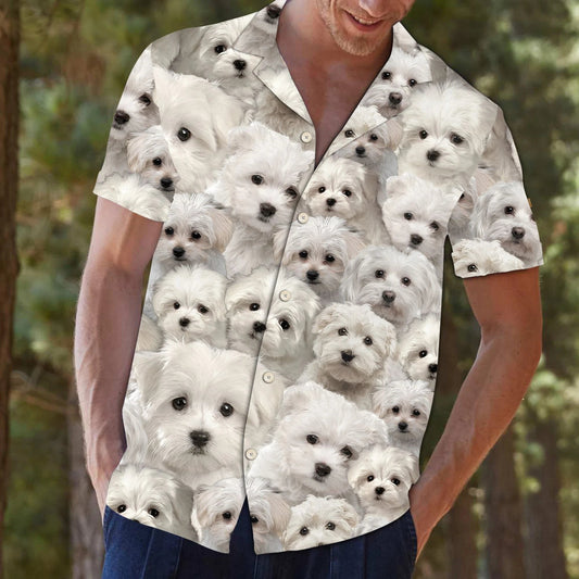 Bhí Cailín ann a Is breá le Madra Málta Léine Haváis i ndáiríre, Bronntanas Léine Haváíais, Bronntanas Nollag