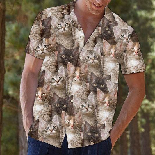 Bronntanas Aghaidh Cat Uathúil Laperm Do Lovers Cat Léine Haváís, Bronntanas Léine Haváís, Bronntanas Nollag