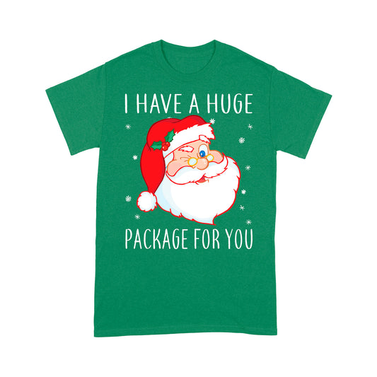 I Have A Huge Package For You Funny Christmas Tee Shirt Gift For Christmas