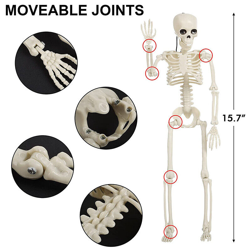 Halloween Human Skeleton Oversized Poseable Decoration Party Prop 40*12cm