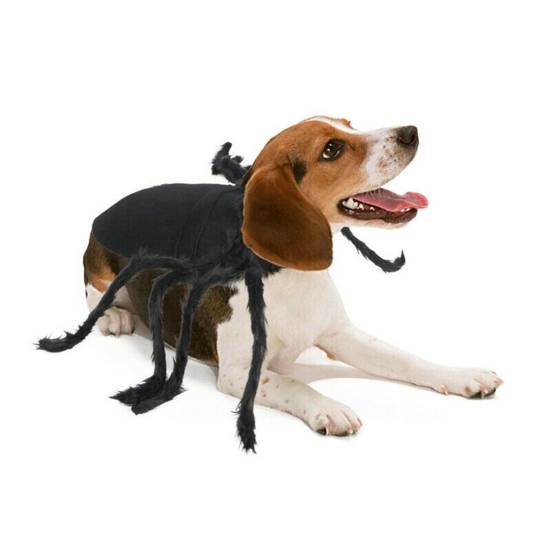 Halloween Pet Black Spider Costume Dog Cat Puppy Spider Cosplay Clothes Outfit