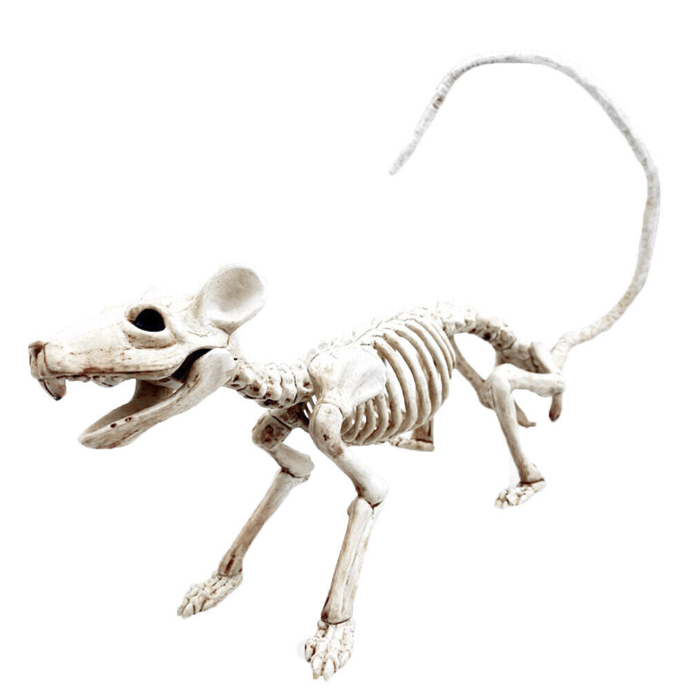 Halloween Skeleton Cat Dog Mouse Bat Prop Animal Bones Party Horror Decoration