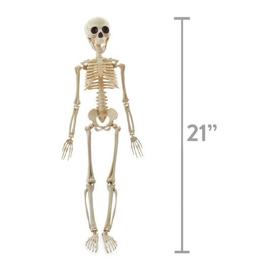 Halloween Decorations Hanging 20-Inch Skeleton Indoor/Outdoor Life-sized Prop