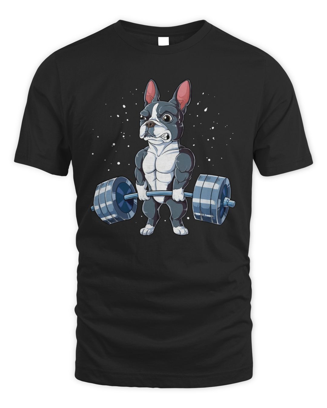 Boston Terrier Weightlifting
