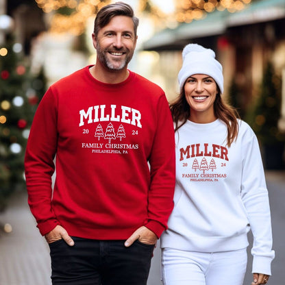 Custom Christmas Family Matching with Name Sweatshirt or Hoodie, Embroidered Gift for Family