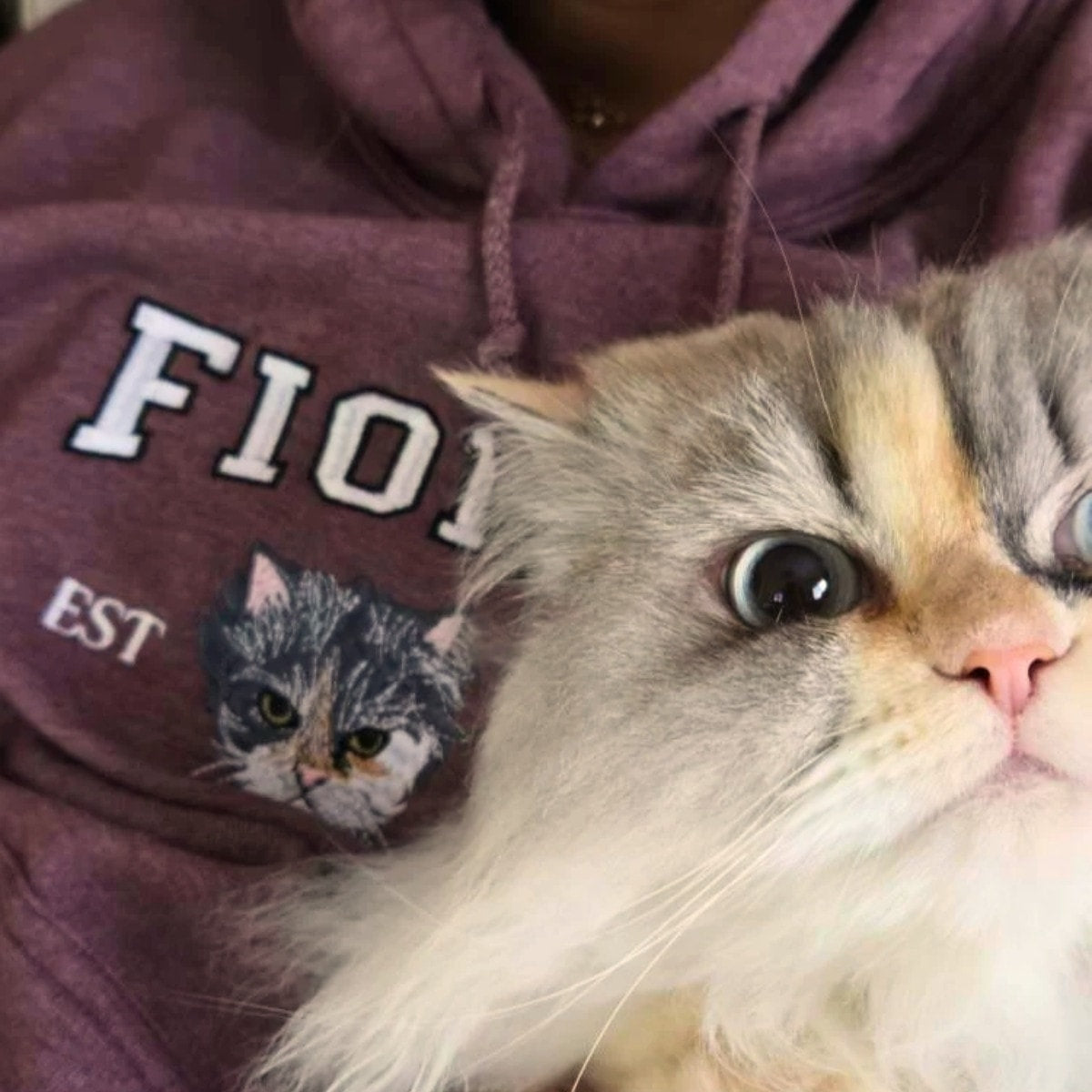 Custom Embroidered Varsity Cat Face Sweatshirt from Photo, Personalized Gift for Cat Lover