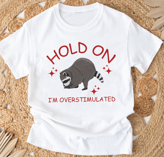 Coinnigh ort Táim Ró-spreagtha, T-léine Retro Greannmhar do Dhaoine Fásta, Léine Racún Greannmhar, Léine Meme, Léine Cadáis Suaimhnithe, Bronntanais Cairde Greannmhar