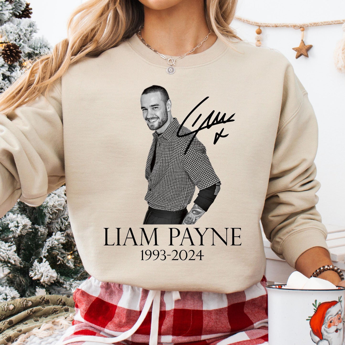 RIP Liam Payne Sweatshirt, In Memory Of Liam Payne T-Shirt, Band Boy Sweater, Liam Payne Fan Sweatshirt, Music Band Sweatshirt