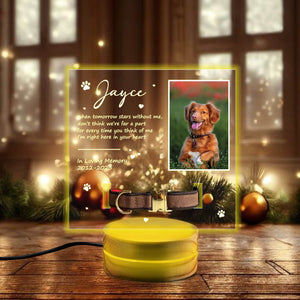 Personalized Photo Night Light, Pet Memorial Plaque, Personalized Gifts for Pet Loss, Sympathy Gift,Custom pet print,Pet Lover Gift,Pet Gift