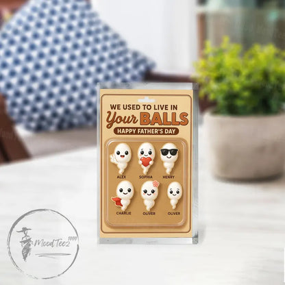 Personalized I Used To Live In Your Balls, Grandpa Gift, Funny Fathers Day Acrylic Block Plaque, Custom Father's Day Gift for Daddy