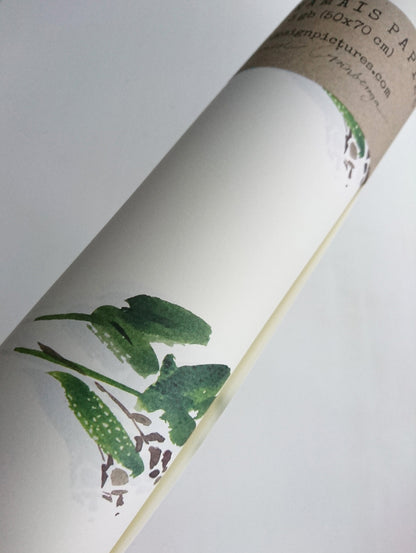 Wrapping paper,Gift Wrap, Rustic Wrap, Watercolour Gift Warp, Wrapping paper, gift paper, green leaves wrap paper, watercolour wrapping