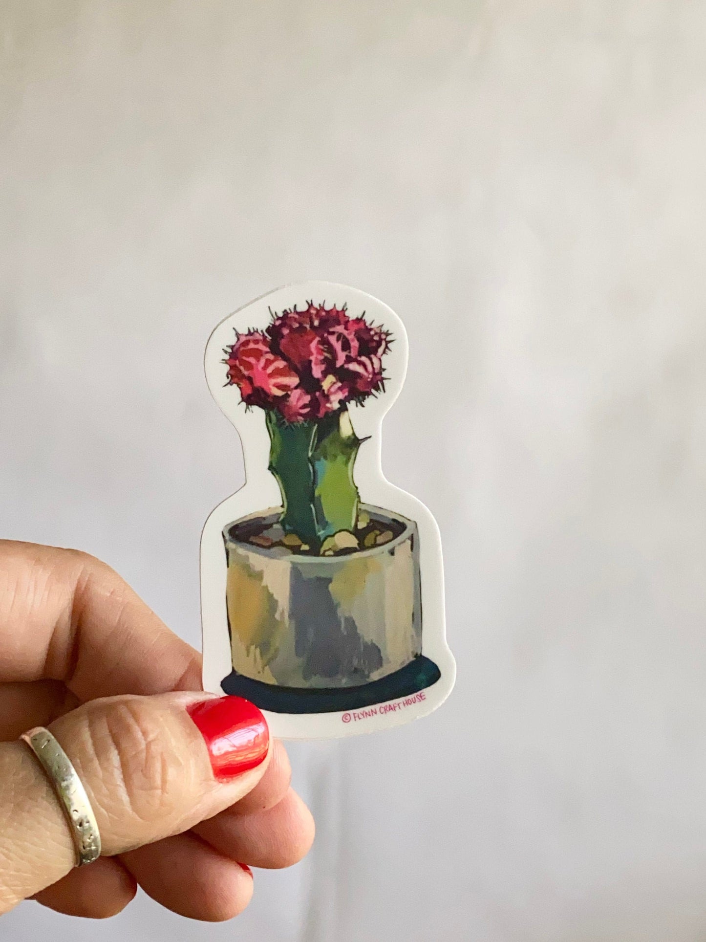 Moon Cactus | 3" Vinyl Sticker Decal | Waterproof  Weatherproof | Plants