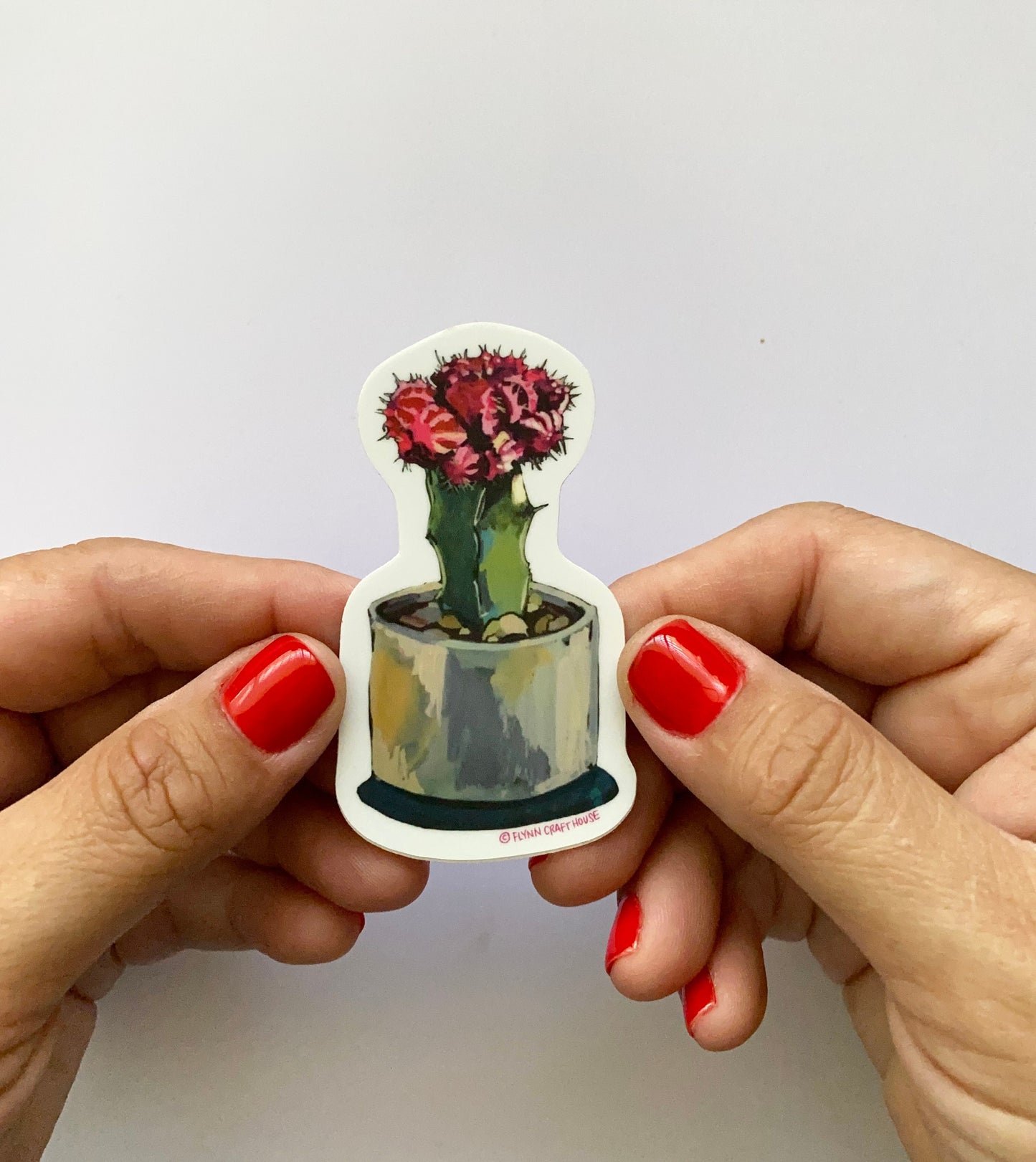 Moon Cactus | 3" Vinyl Sticker Decal | Waterproof  Weatherproof | Plants