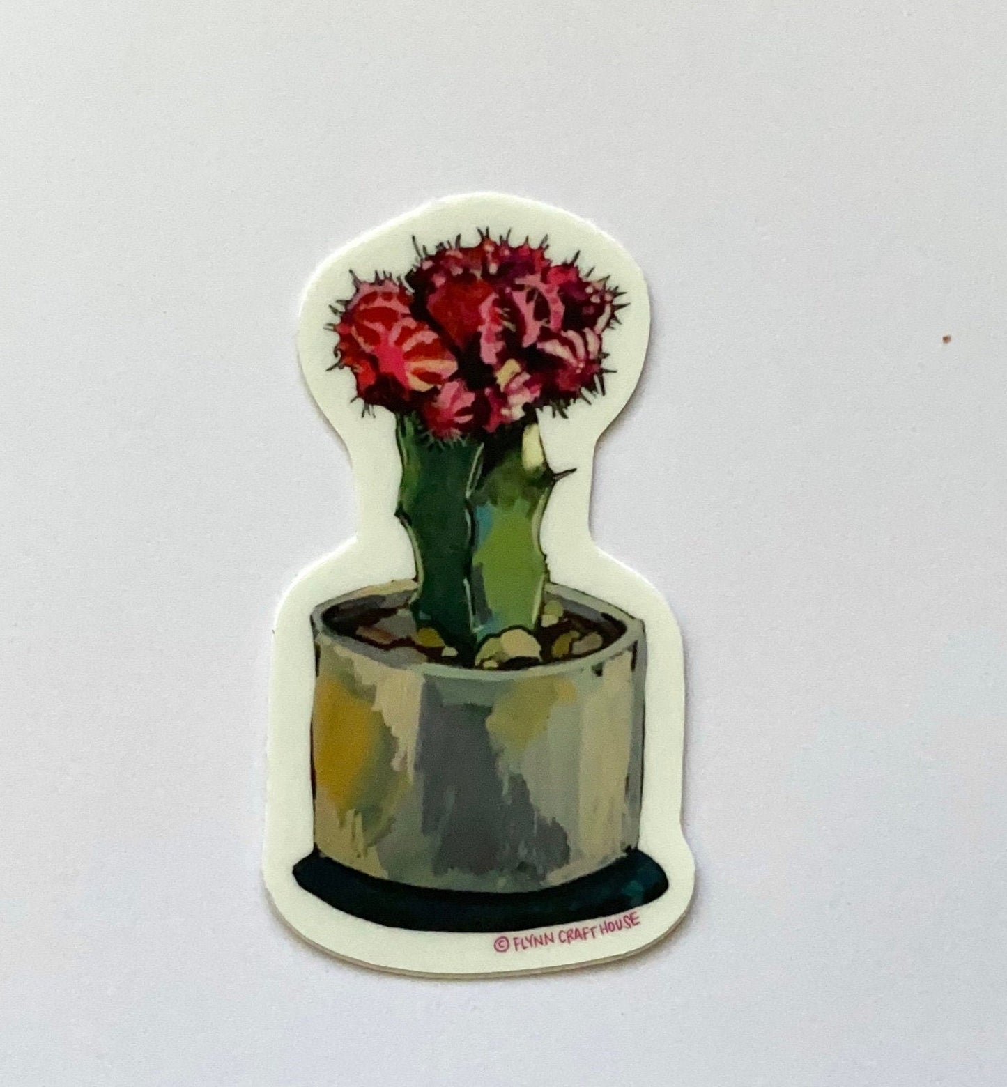 Moon Cactus | 3" Vinyl Sticker Decal | Waterproof  Weatherproof | Plants