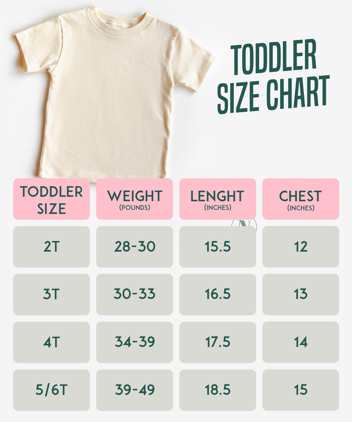 Retro Tampa Bay Football Shirt, Vintage Tampa Bay Football Shirt, Tampa Bay Football Women Shirt, Tampa Bay Football Toddler Shirt