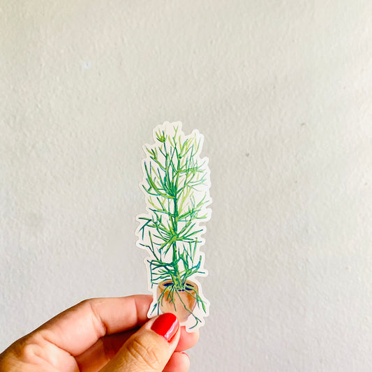 Pencil Cactus in a Pot | 4" Sticker Decal | Waterproof  Weatherproof | Nopal Cactus Latinx