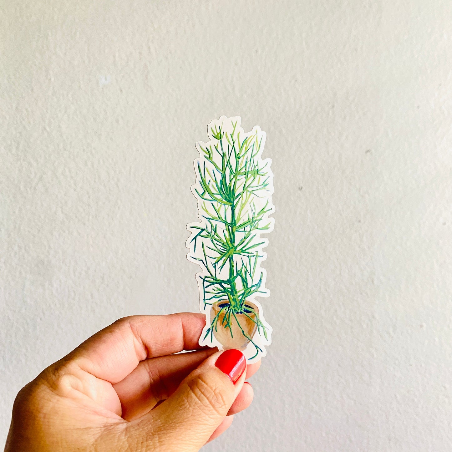 Pencil Cactus in a Pot | 4" Sticker Decal | Waterproof  Weatherproof | Nopal Cactus Latinx