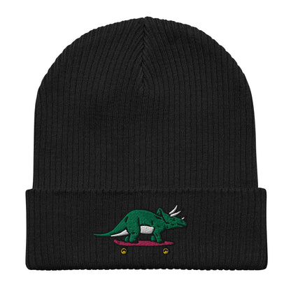 Triceratops Skateboard, Dinosaur Embroidered Beanie, Funny Beanie, Unique Streetwear, Y2K Beanie, Skater Hat, Dinosaur Lover, 90’s Fashion