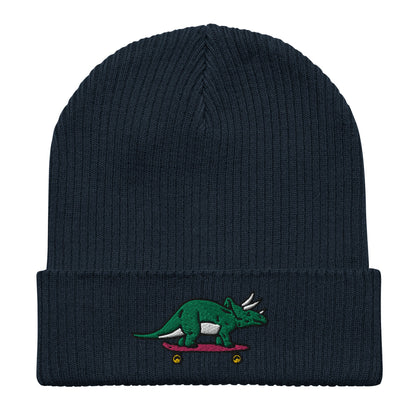 Triceratops Skateboard, Dinosaur Embroidered Beanie, Funny Beanie, Unique Streetwear, Y2K Beanie, Skater Hat, Dinosaur Lover, 90’s Fashion