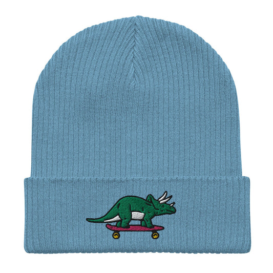Triceratops Skateboard, Dinosaur Embroidered Beanie, Funny Beanie, Unique Streetwear, Y2K Beanie, Skater Hat, Dinosaur Lover, 90’s Fashion