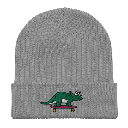 Triceratops Skateboard, Dinosaur Embroidered Beanie, Funny Beanie, Unique Streetwear, Y2K Beanie, Skater Hat, Dinosaur Lover, 90’s Fashion