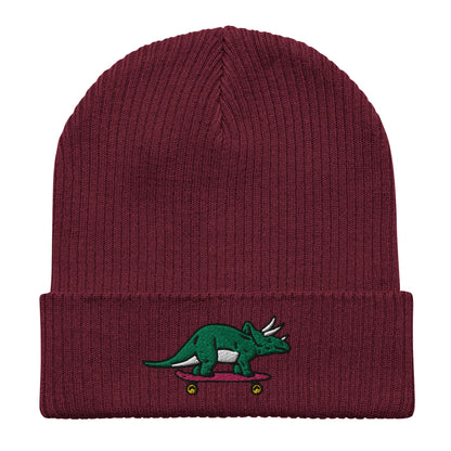 Triceratops Skateboard, Dinosaur Embroidered Beanie, Funny Beanie, Unique Streetwear, Y2K Beanie, Skater Hat, Dinosaur Lover, 90’s Fashion