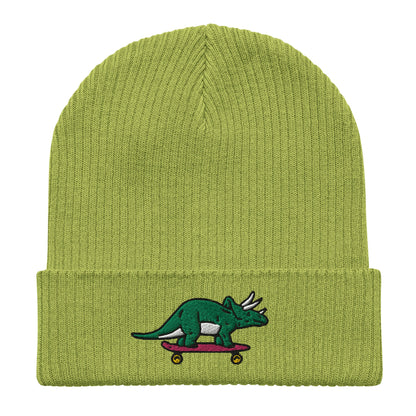Triceratops Skateboard, Dinosaur Embroidered Beanie, Funny Beanie, Unique Streetwear, Y2K Beanie, Skater Hat, Dinosaur Lover, 90’s Fashion