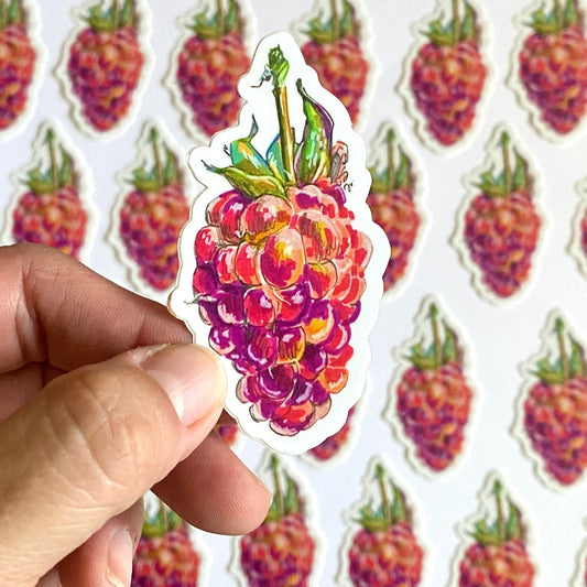 Sparkling Raspberry | 3"  Sticker Decal | Waterproof  Weatherproof | Cottagecore Garden Farm