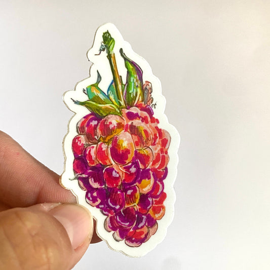 Sparkling Raspberry | 3"  Sticker Decal | Waterproof  Weatherproof | Cottagecore Garden Farm