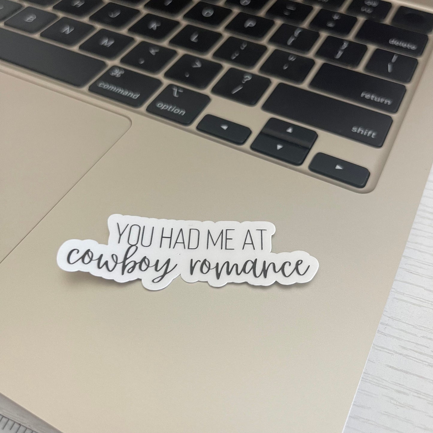 You had me at cowboy romance bookish sticker, book stickers, kindle, laptop, romance, bookish sticker, sticker decal, cowboy