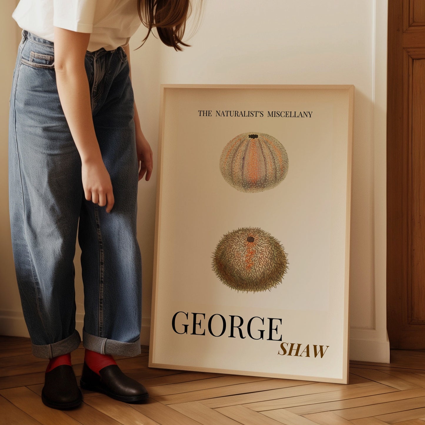 Sea Urchin Shell, Coastal Aesthetic, Coastal Granddaughter, Coastal Art Print, Beach House Gift, Nautical Wall Decor, Coastal Home Decor