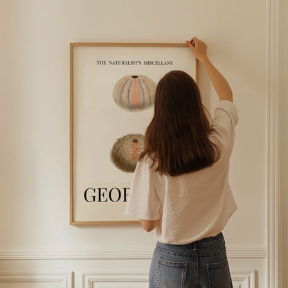 Sea Urchin Shell, Coastal Aesthetic, Coastal Granddaughter, Coastal Art Print, Beach House Gift, Nautical Wall Decor, Coastal Home Decor