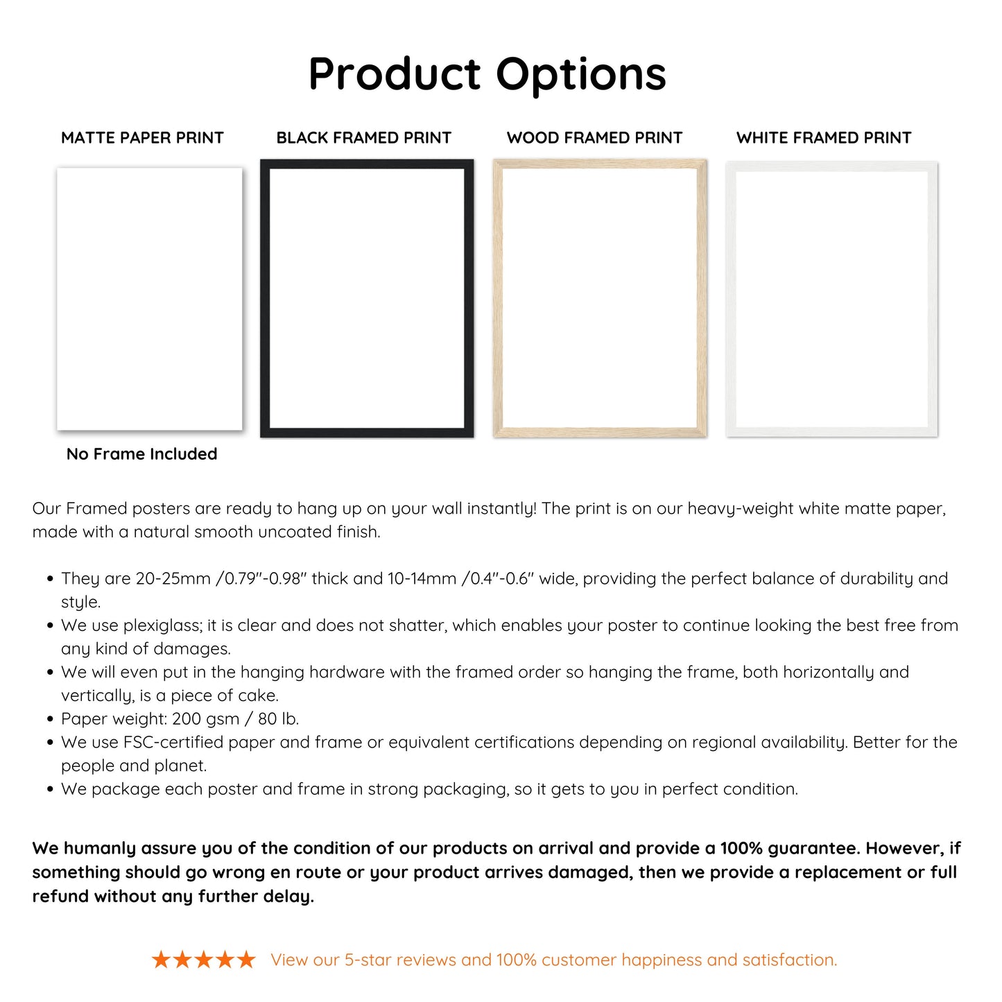 Sea Urchin Shell, Coastal Aesthetic, Coastal Granddaughter, Coastal Art Print, Beach House Gift, Nautical Wall Decor, Coastal Home Decor